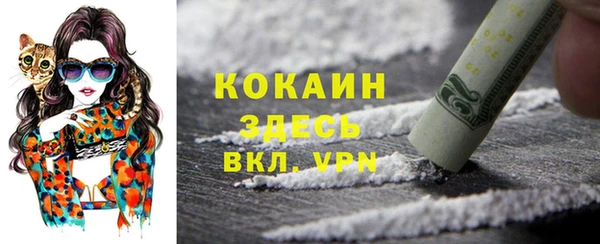 мяу мяу мука Лабытнанги