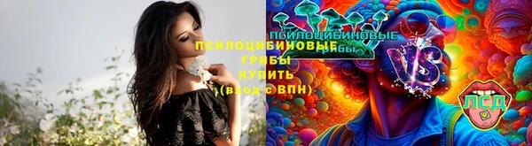 скорость Осташков