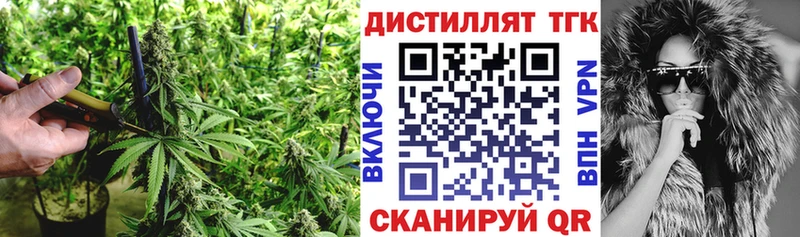 ТГК концентрат Кола